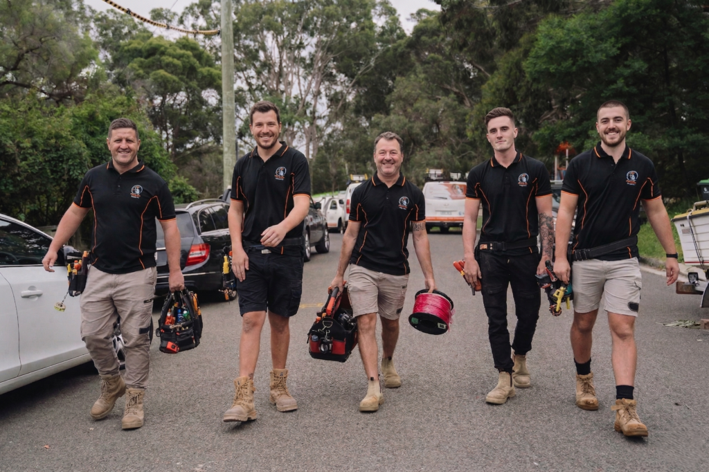 Professional electrical services in Belfield